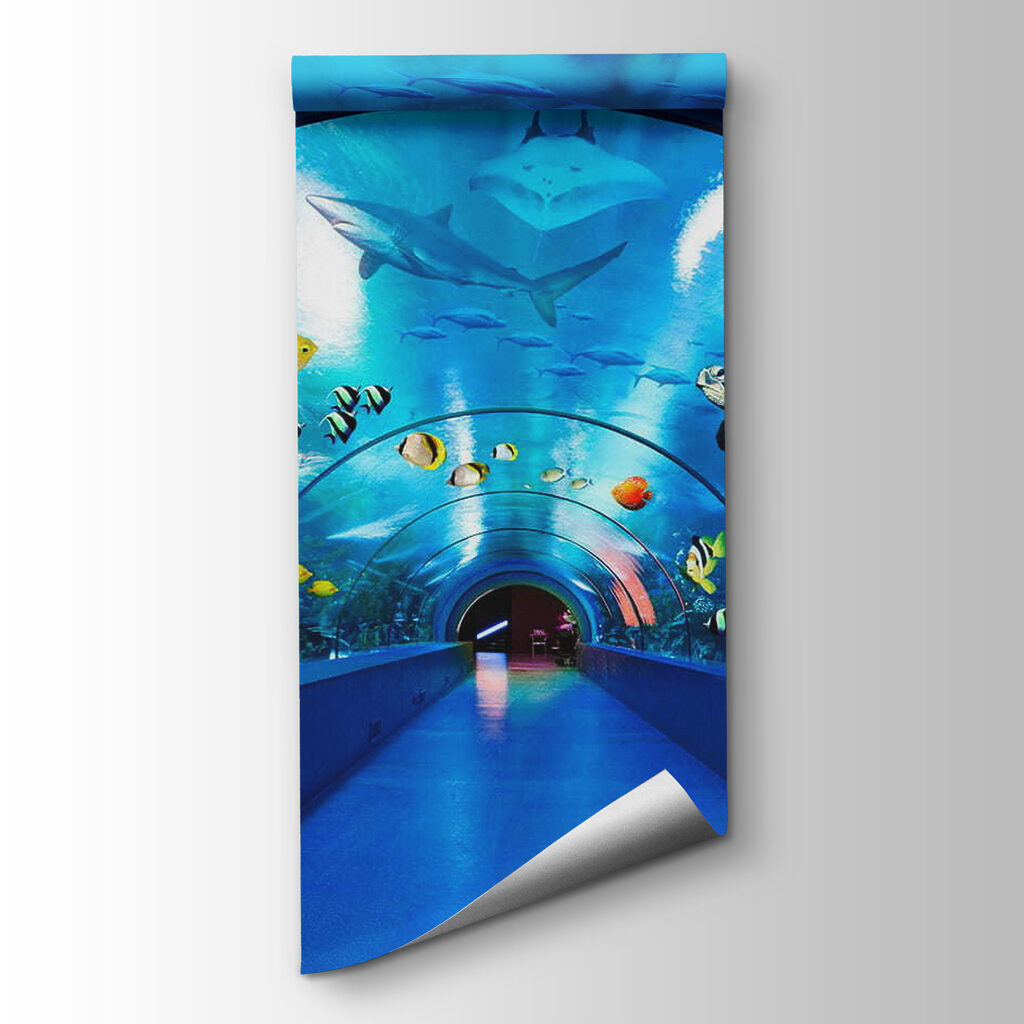 Túnel subaquático com peixes — vista do produto