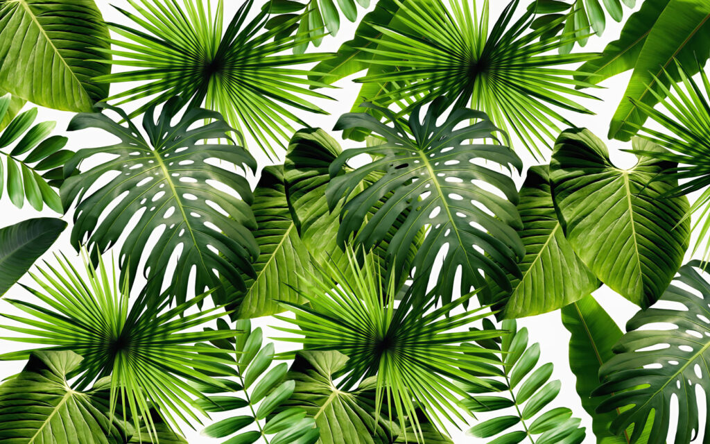 Folhas em verde primaveril — design completo