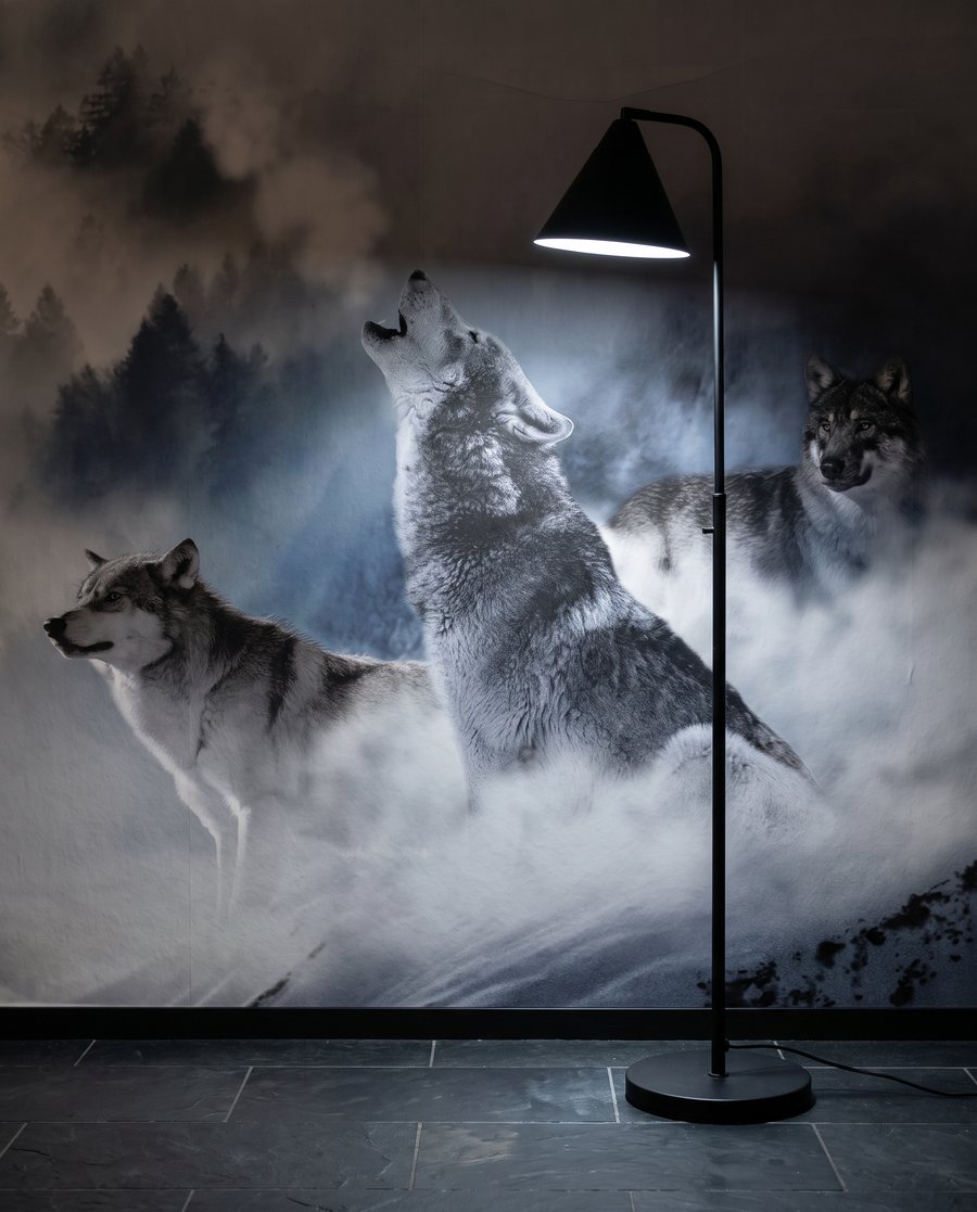 Lobos em vales brancos — detalhe