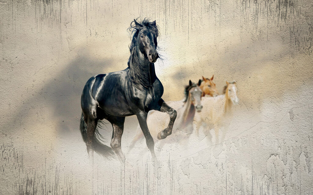 Cavalos na luz — design completo