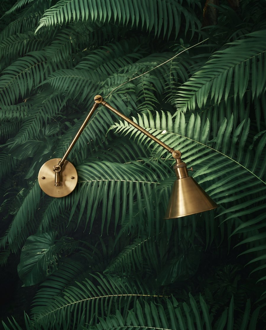 Fundo verde entre fetos — detalhe