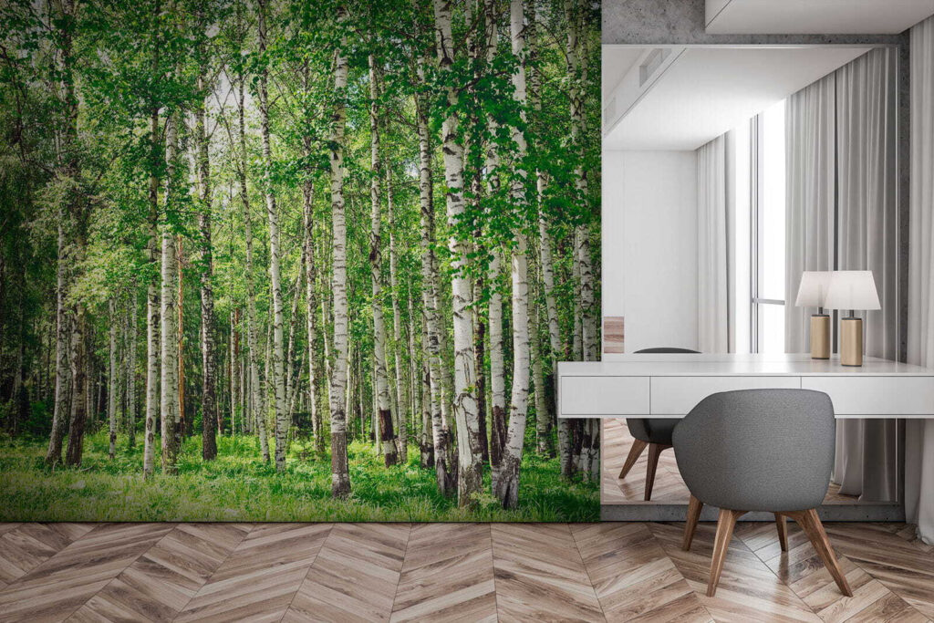 Bétulas sobre relva verde — interior 2