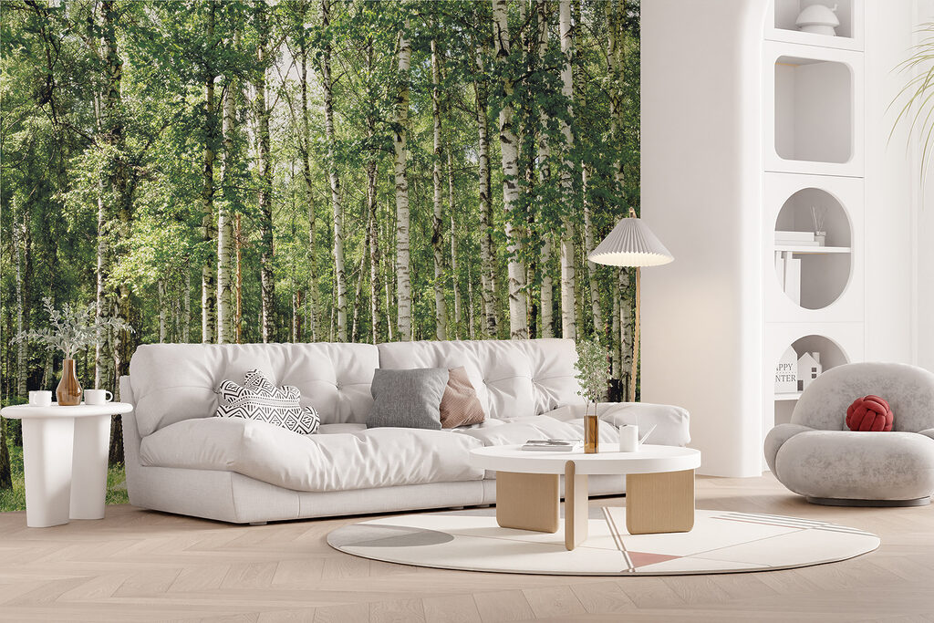 Bétulas sobre relva verde — interior 12