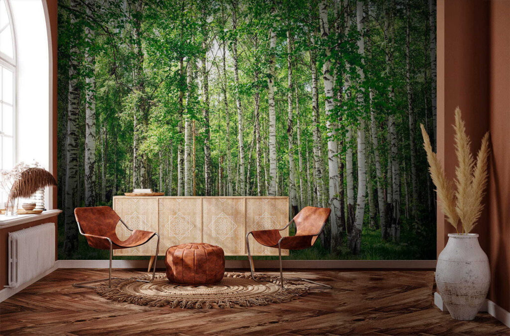 Bétulas sobre relva verde — interior 6