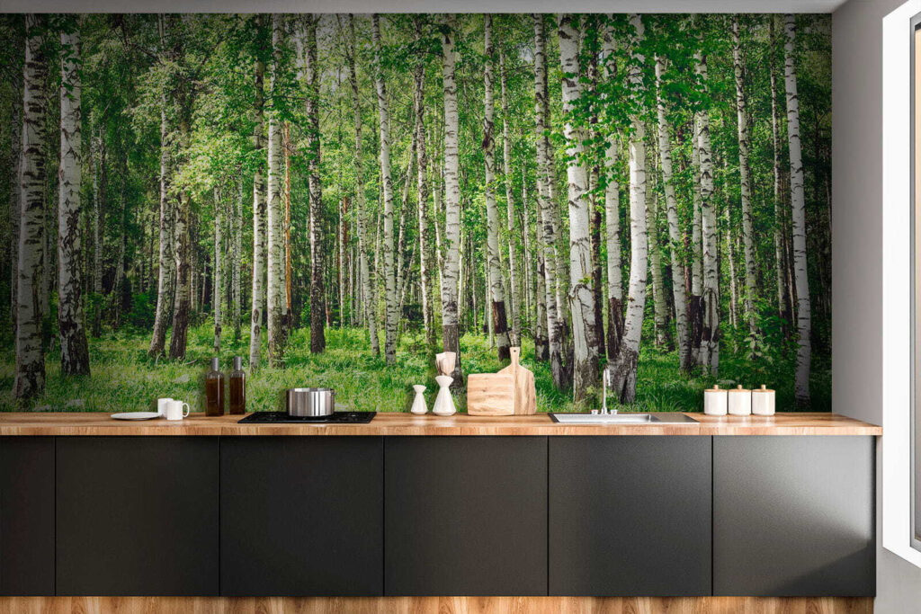 Bétulas sobre relva verde — interior 7