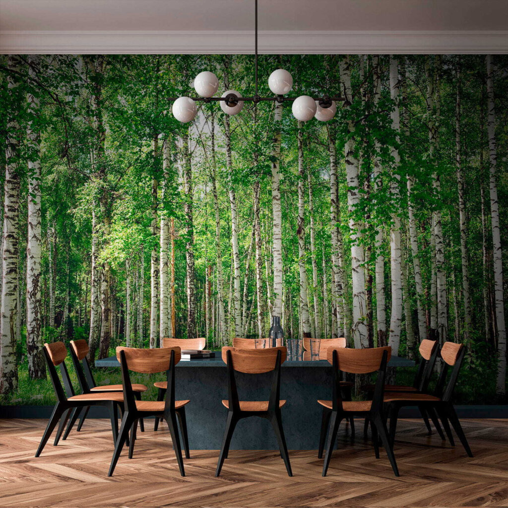 Bétulas sobre relva verde — interior 8