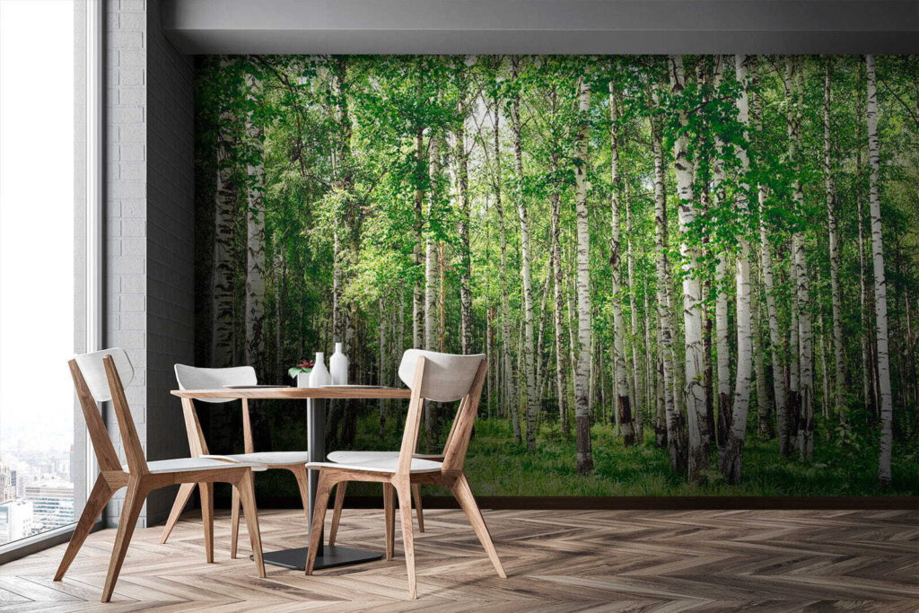 Bétulas sobre relva verde — interior 10