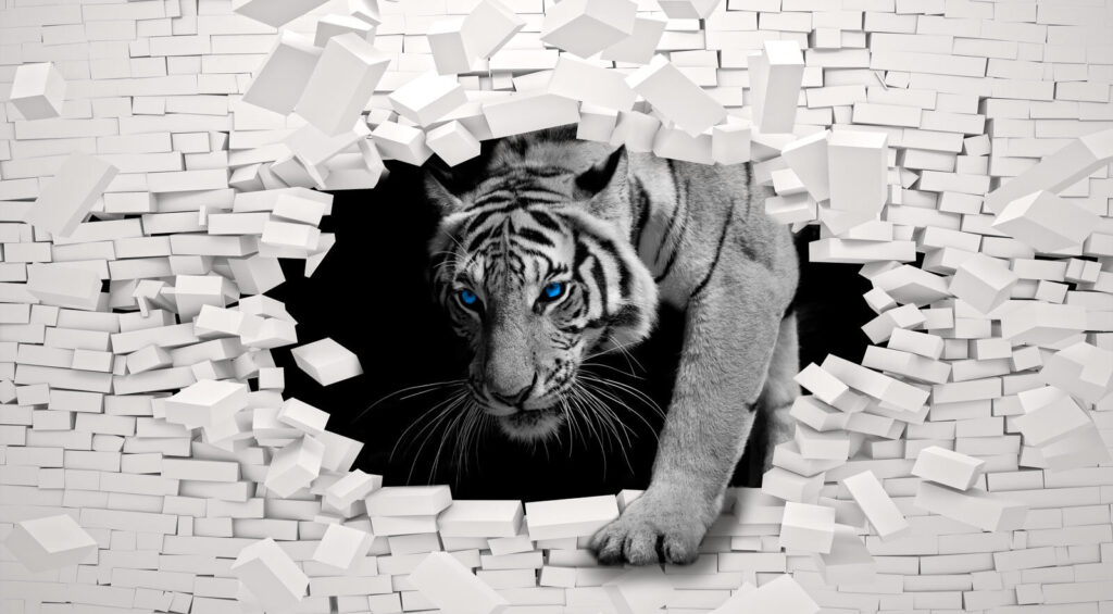 Tigre branco entre tijolos — design completo