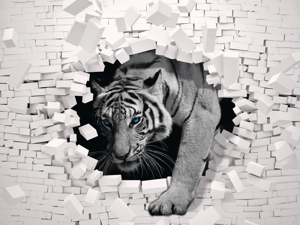 Tigre irrompe da parede — design completo