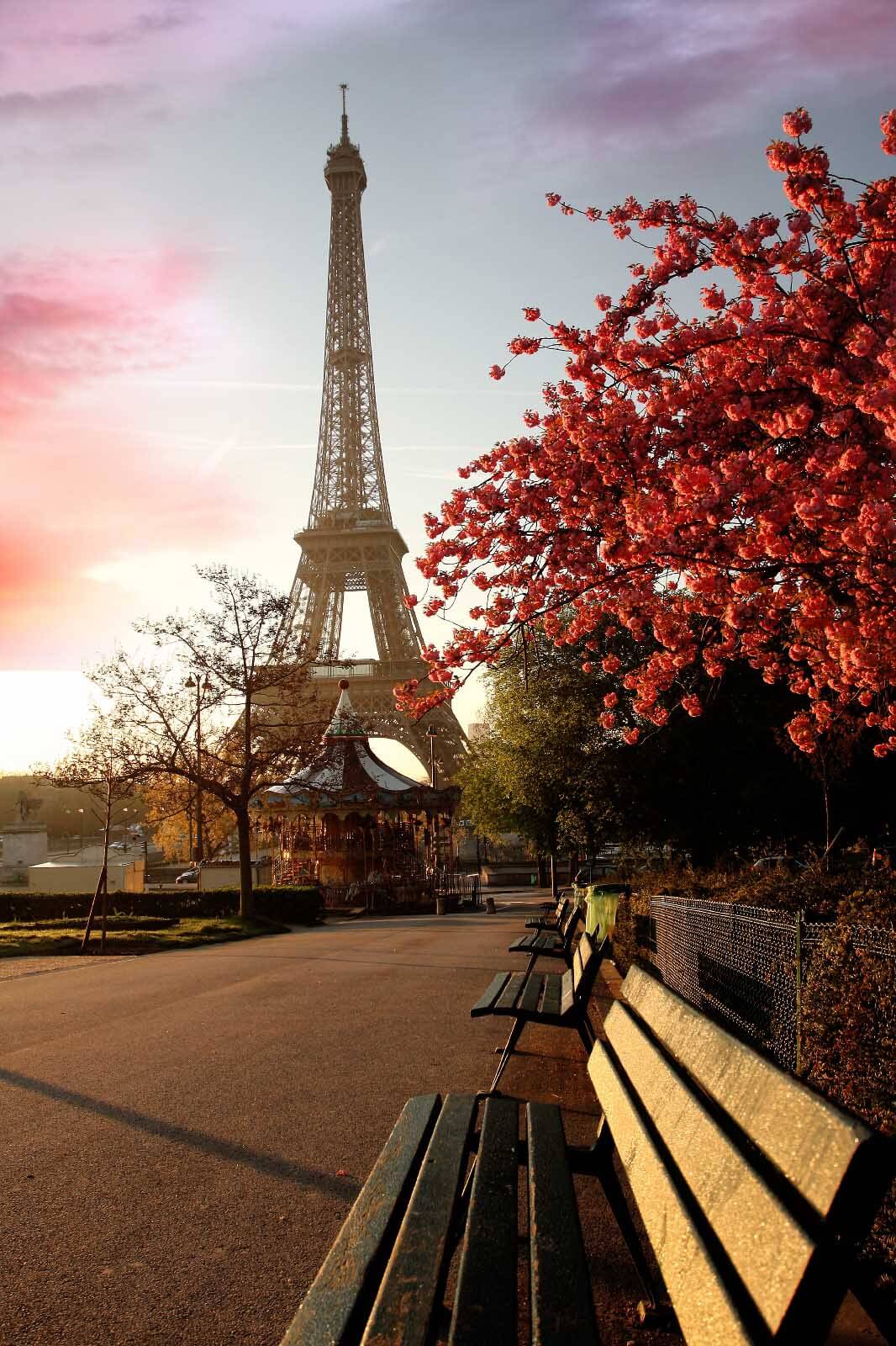 Torre Eiffel, outono vermelho — design completo