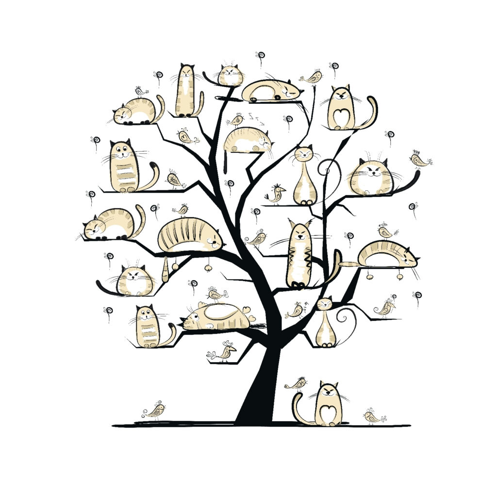 Árvore com gatos — design completo