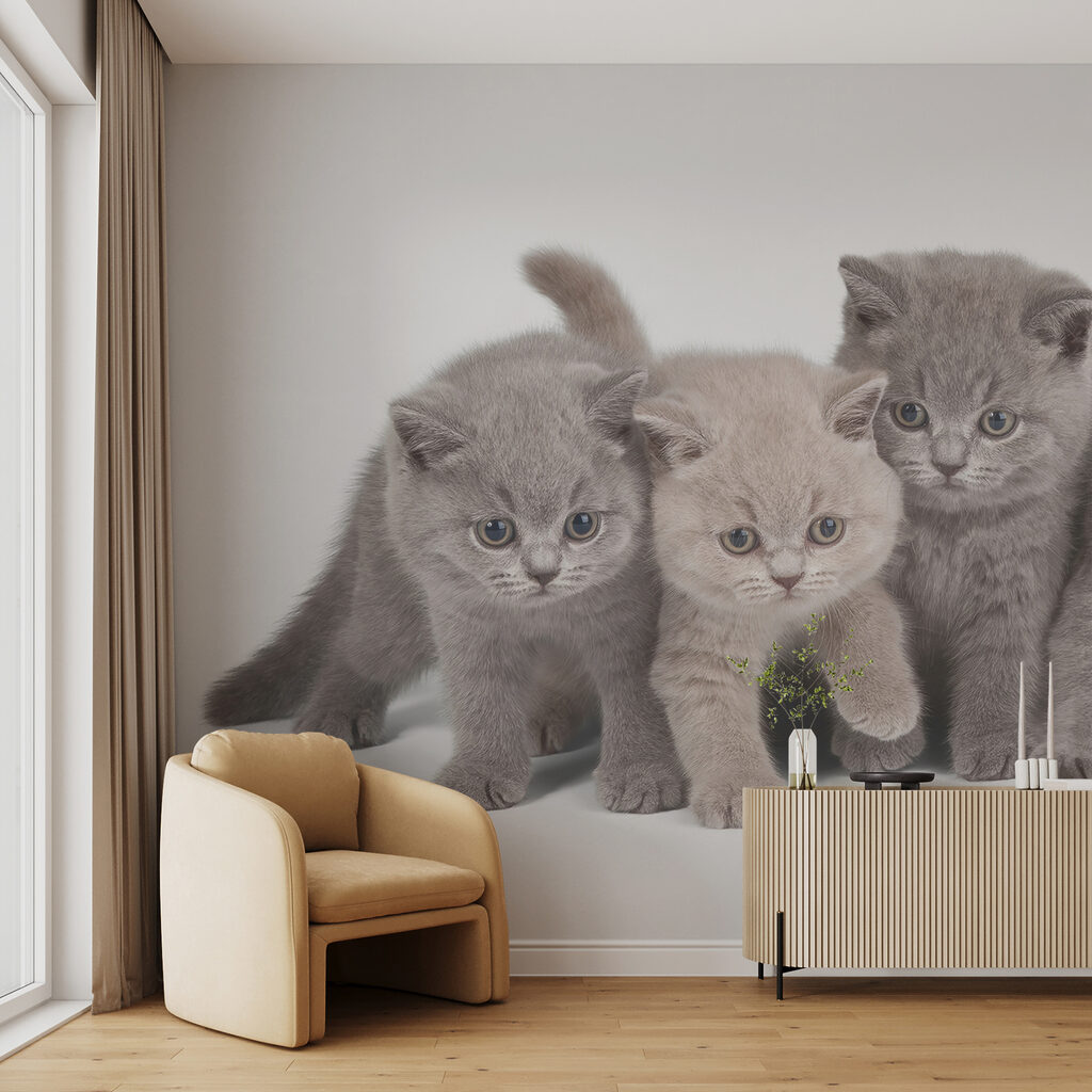 Quatro gatinhos curiosos — interior 3