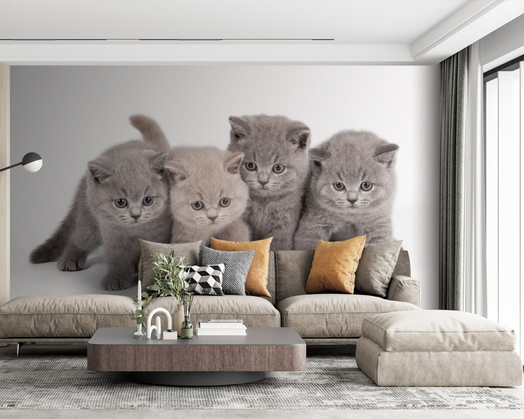 Quatro gatinhos curiosos — interior 2