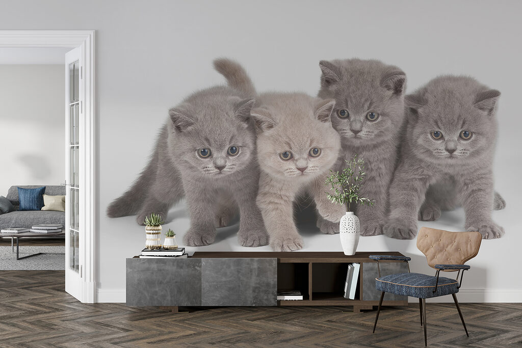 Quatro gatinhos curiosos — interior 4