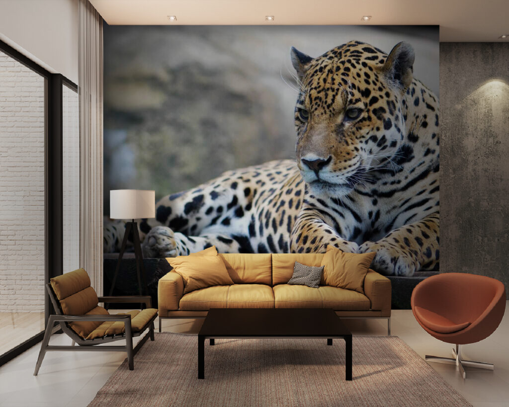 Felino malhado sobre rocha — interior 1