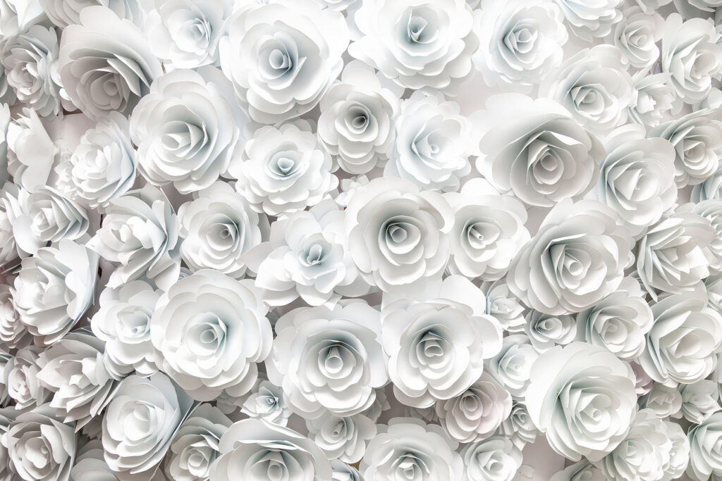 Rosas brancas muito juntas — design completo