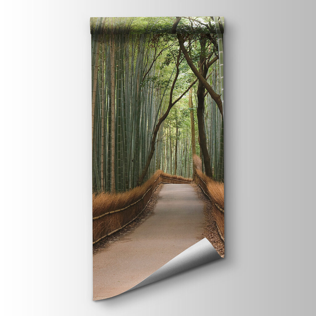 Caminho entre bambu alto — vista do produto