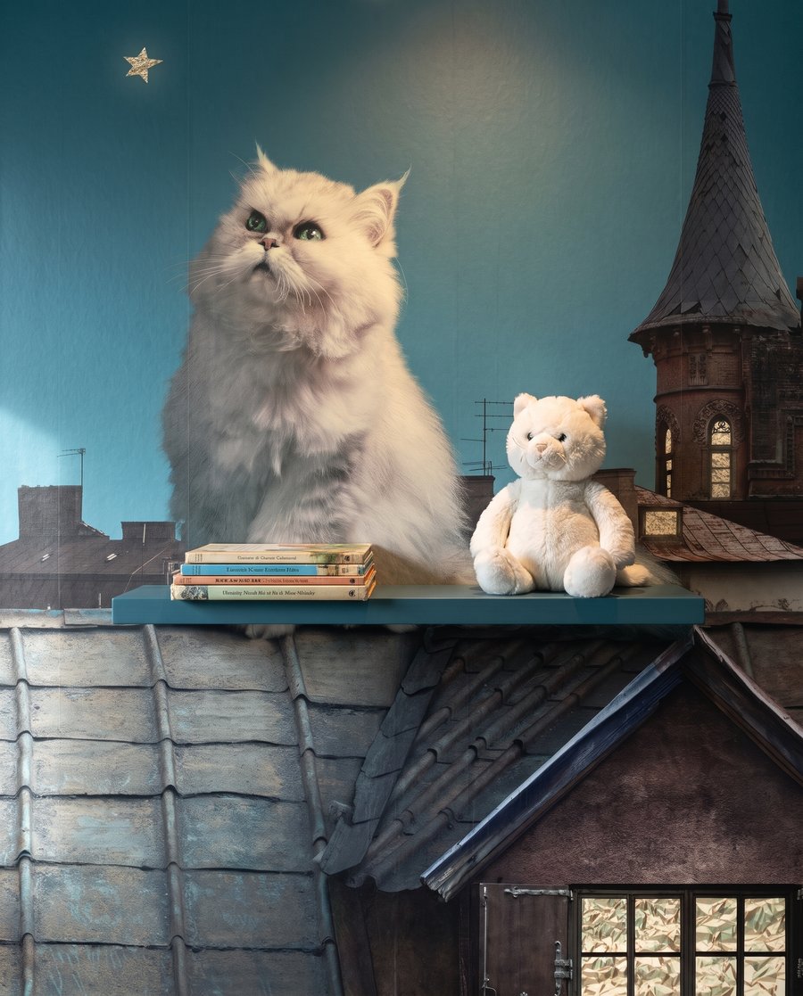 Gato entre estrelas — detalhe