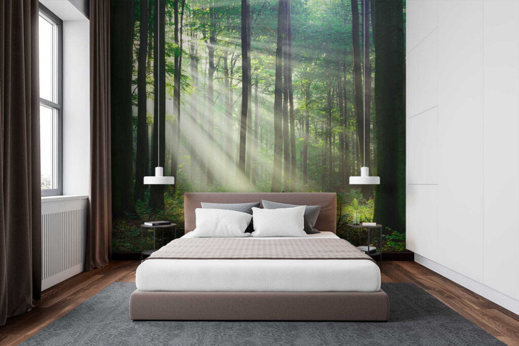Sol através do bosque — interior 2
