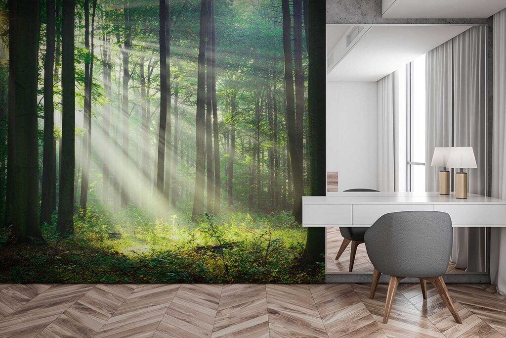 Sol através do bosque — interior 10