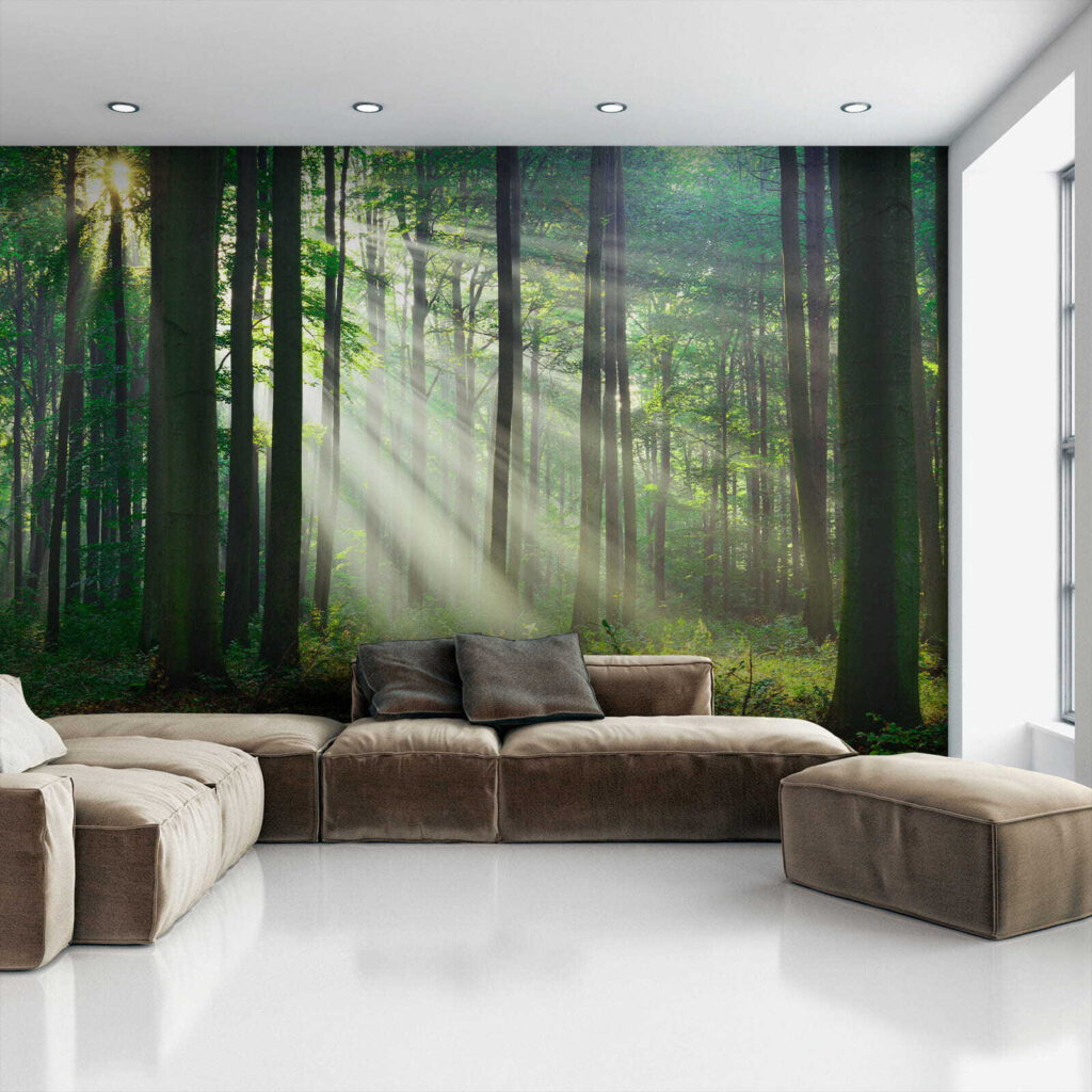 Sol através do bosque — interior 4