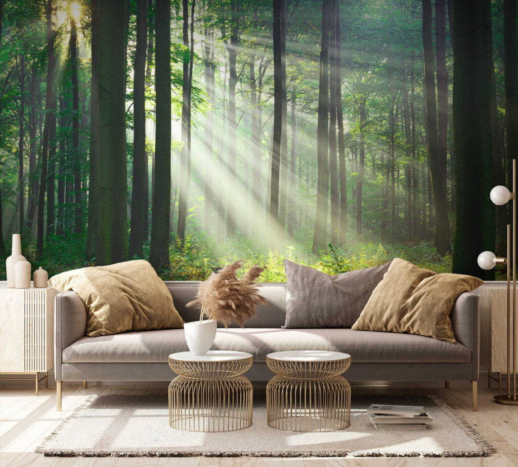 Sol através do bosque — interior 5