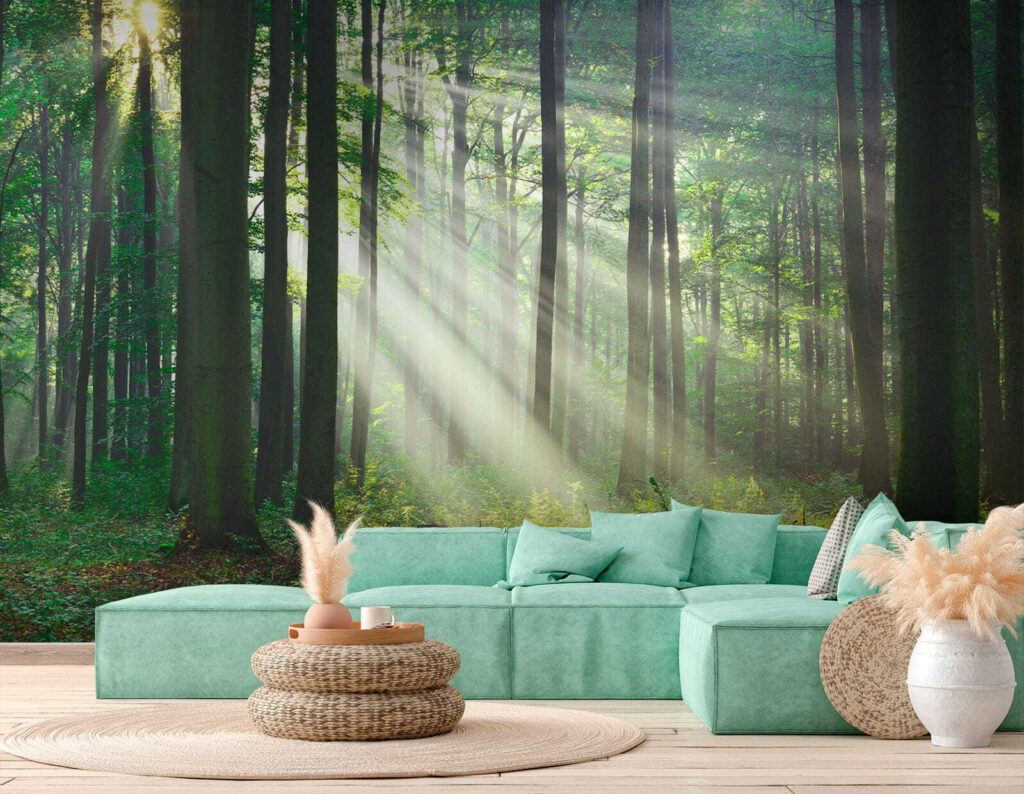 Sol através do bosque — interior 6
