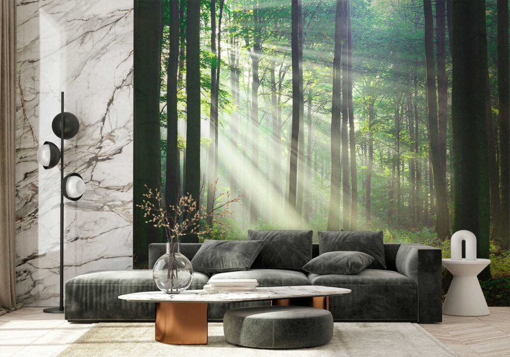 Sol através do bosque — interior 7