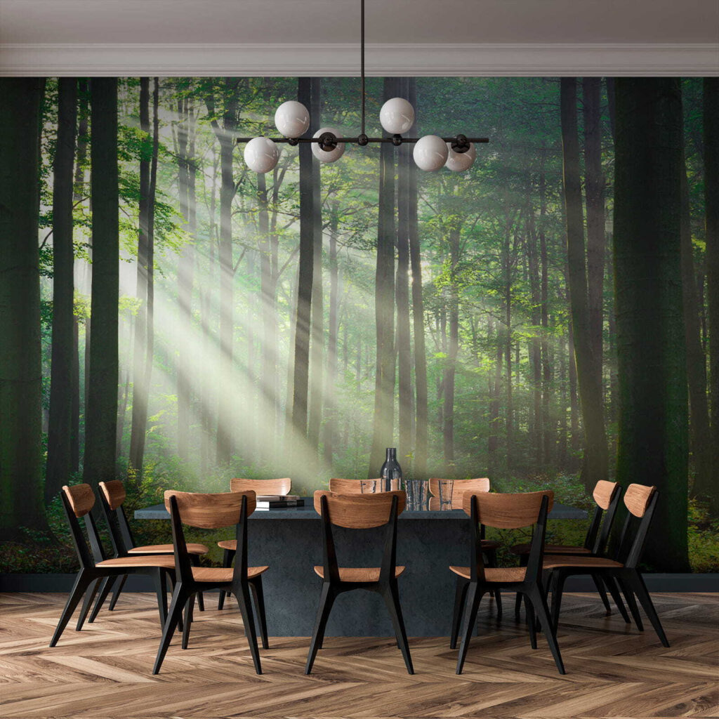 Sol através do bosque — interior 9