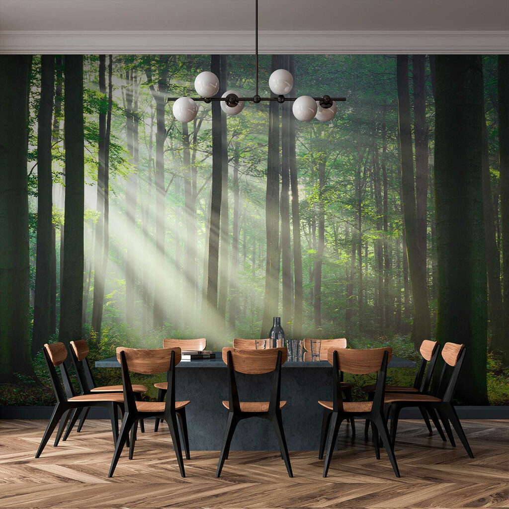 Sol através do bosque — interior 11