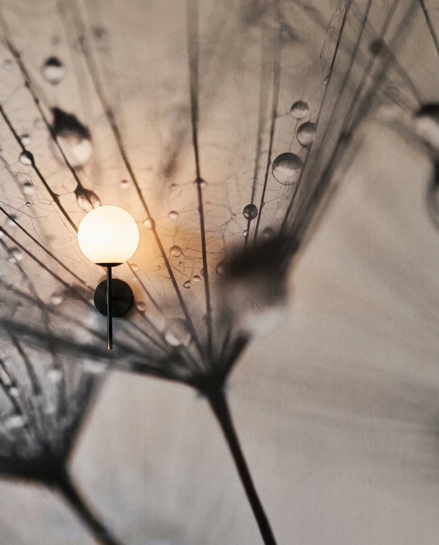 Orvalho em penugem — detalhe