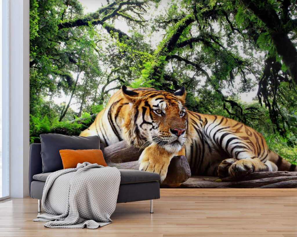 Tigre a descansar — interior 2