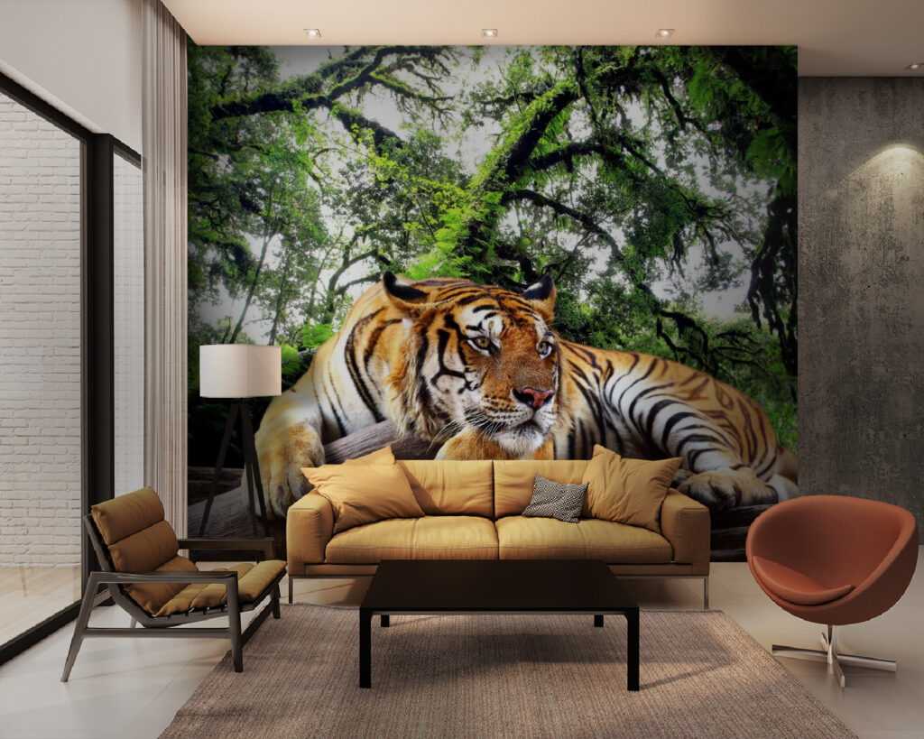 Tigre a descansar — interior 3