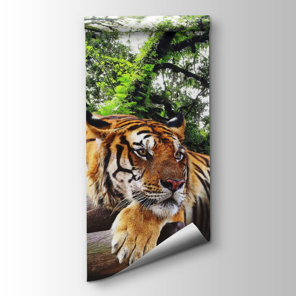 Tigre a descansar — vista do produto