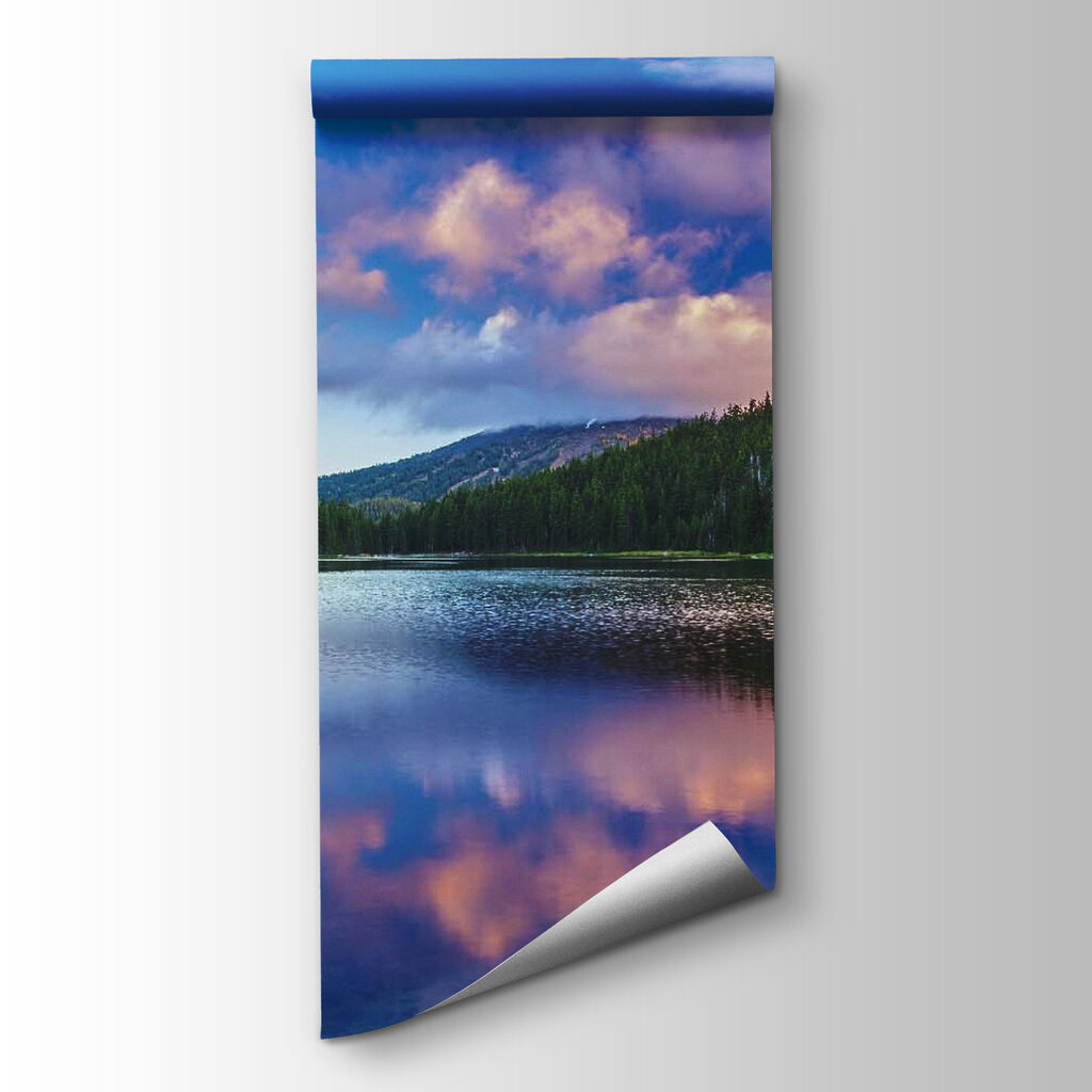 Floresta refletida no lago — vista do produto
