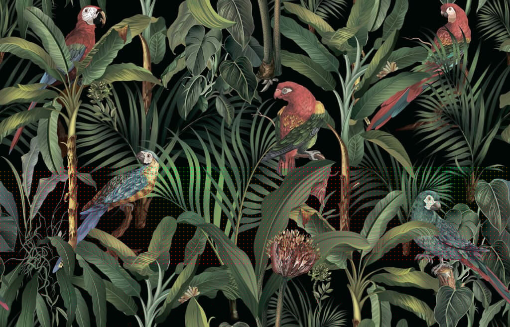 Papagaios na selva escura — design completo