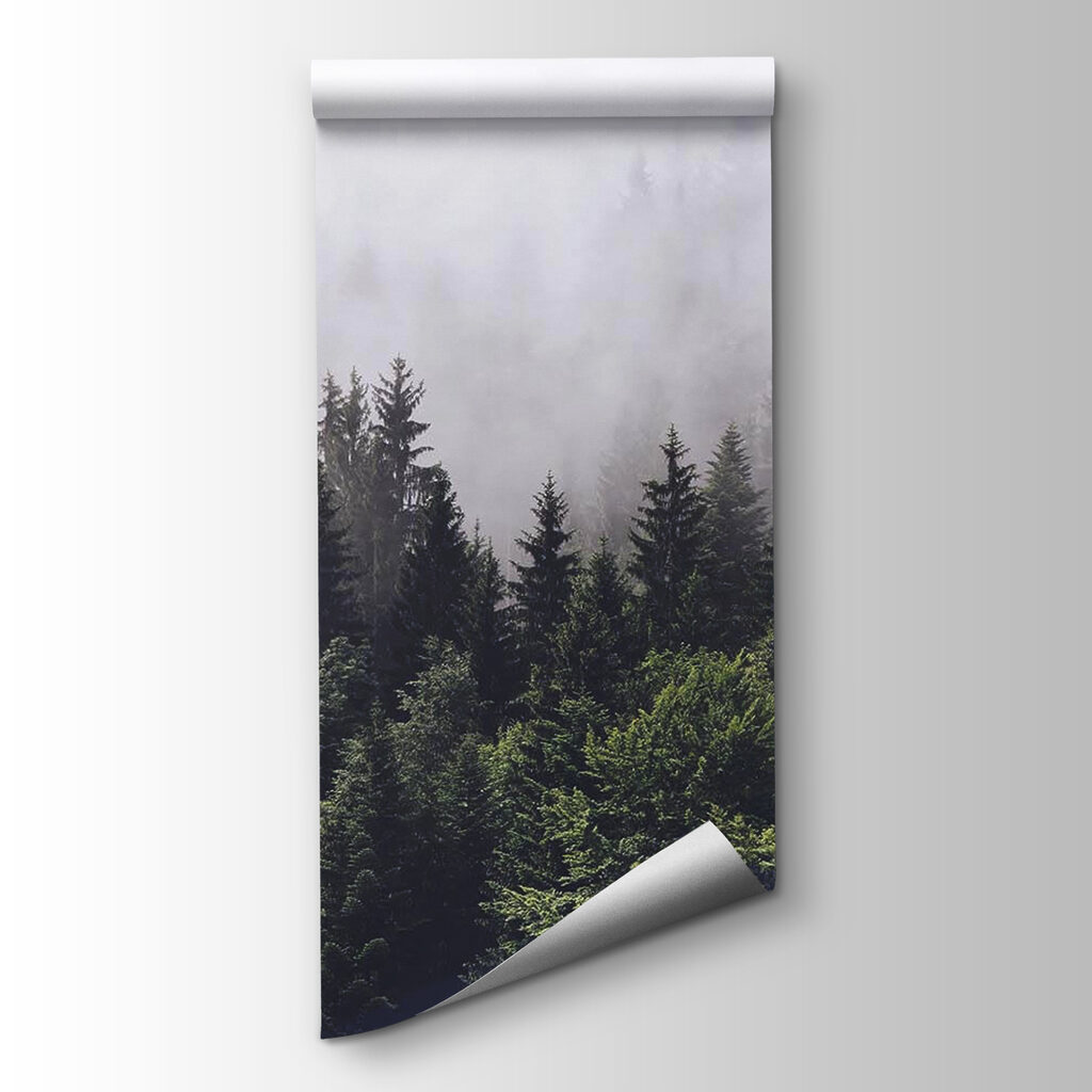 Névoa sobre o bosque — vista do produto