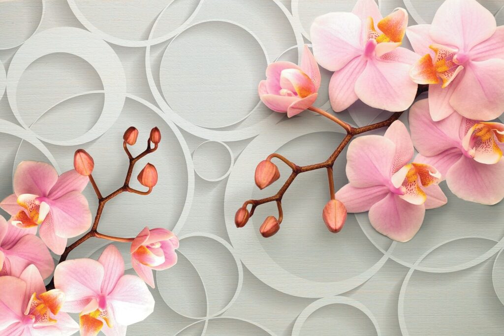 Orquídea cor-de-rosa e círculos — design completo