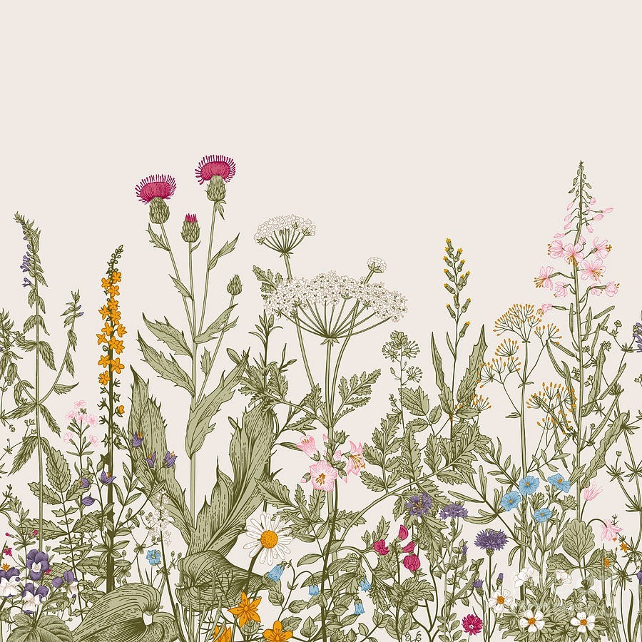 Campo de flores silvestres — design completo