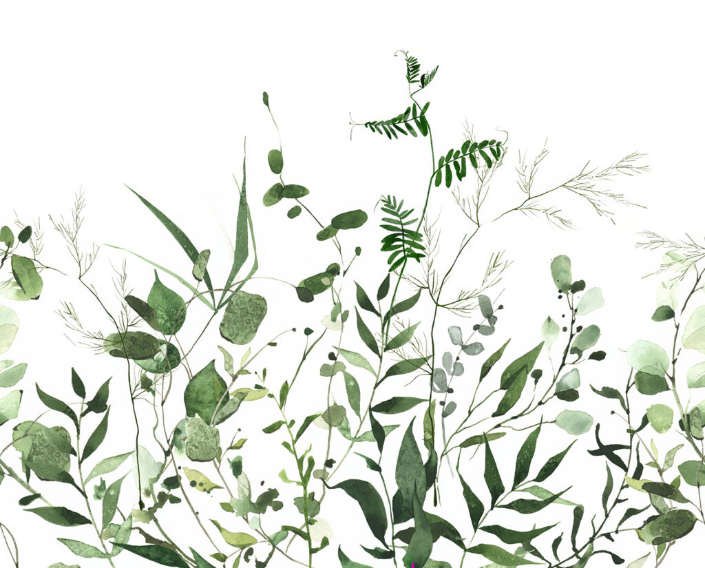 Ramos verdes sobre branco — design completo