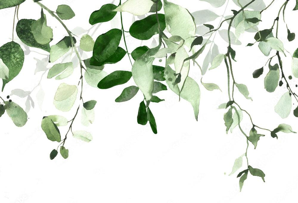 Folhas suspensas sobre branco — design completo