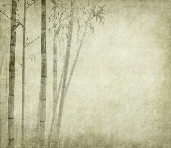 Bambu sobre areia — design completo
