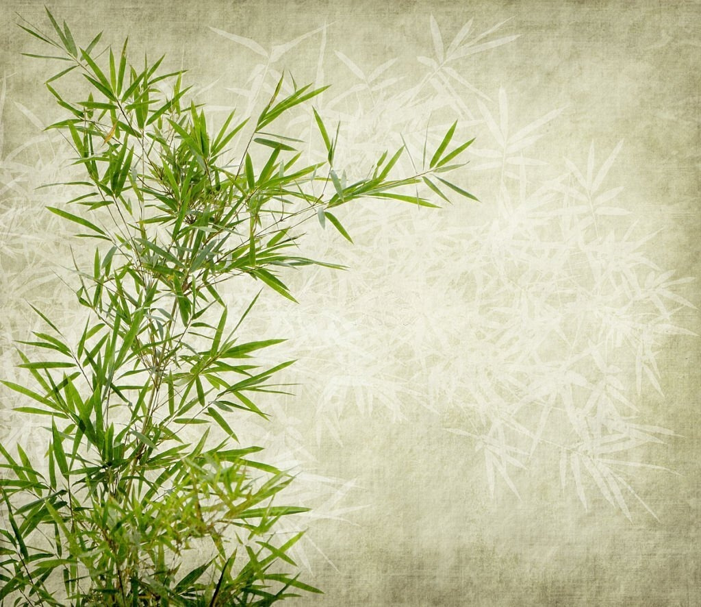 Bambu em verde suave — design completo