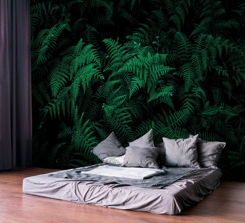 Fetos verdes na sombra — interior 2