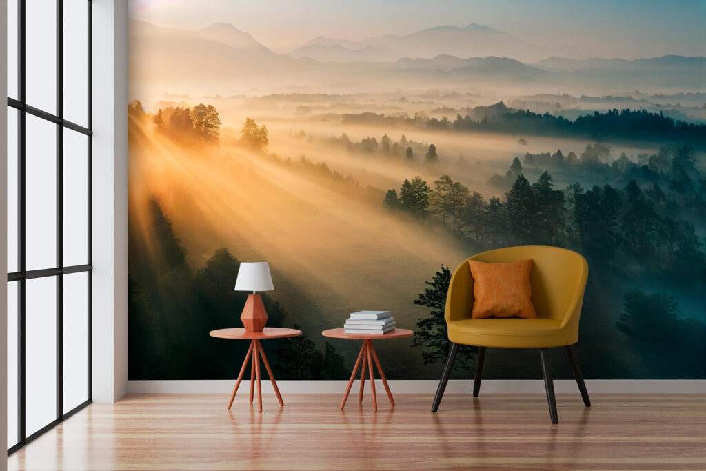 Sol sobre bosque — interior 2