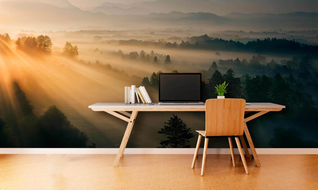 Sol sobre bosque — interior 3