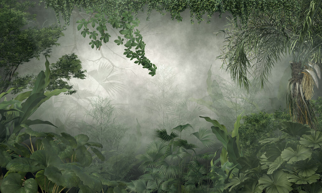 Selva verde em névoa — design completo
