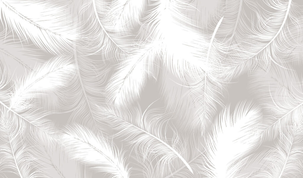 Penas brancas sobrepostas — design completo