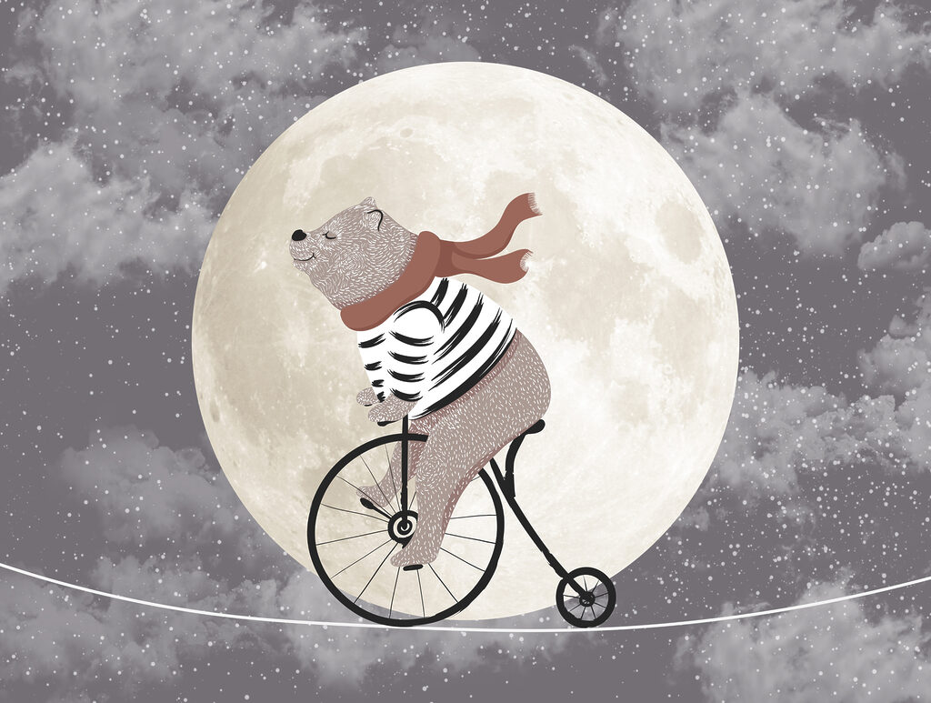 Urso a pedalar — design completo
