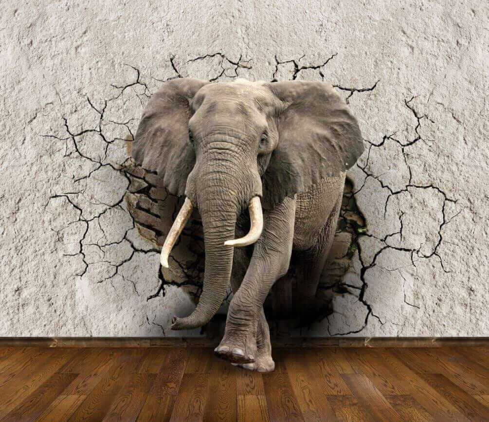 Elefante em parede rachada — design completo